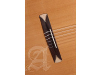 Alhambra CS-1 CW E1 incl. Gig Bag Alhambra CS-1 CW E1 incl. Gig Bag